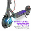 Portable Electric Scooter w/ 8.5"Tire 350W Brushless Motor High Speed Foldable